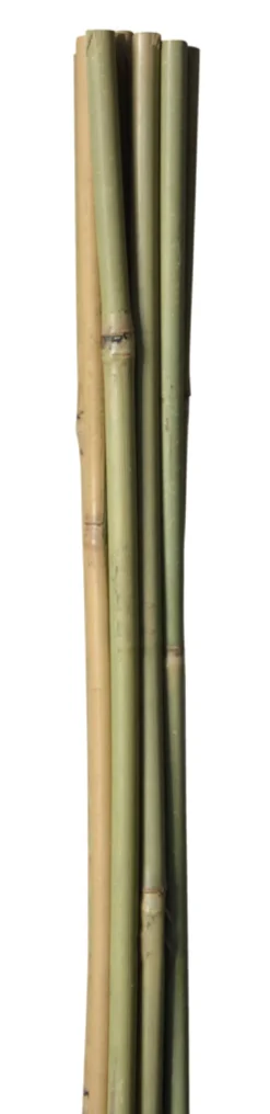 Bambuspinde 90 cm 4 stk.