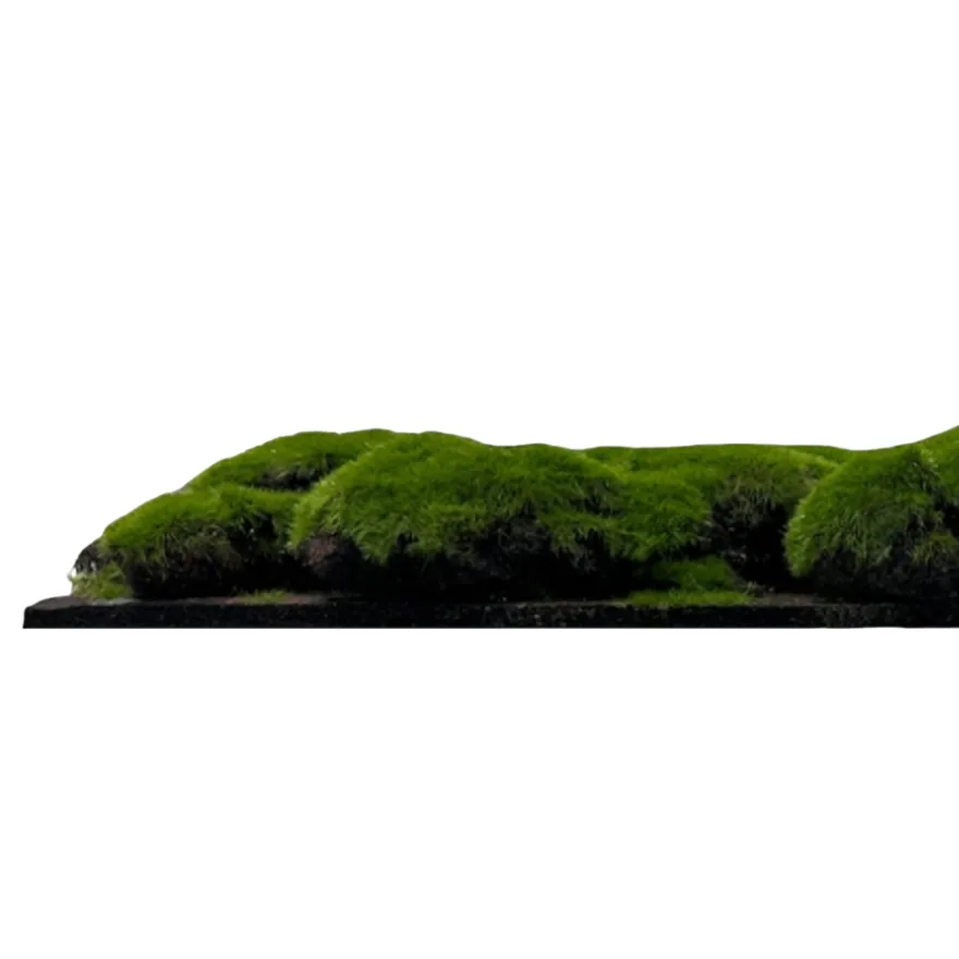 Jangal Modular Wall mospanel 52 x 52 cm - Dark Green Bulk